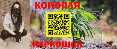 ПСИЛОЦИБИНОВЫЕ ГРИБЫ Аргун