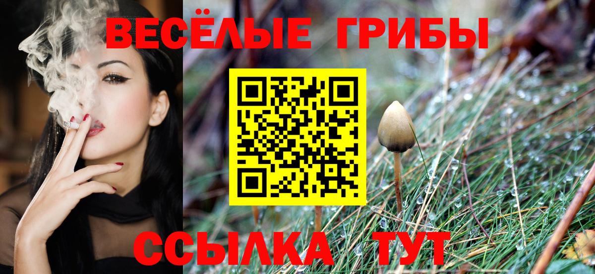 Губкин  Галлюциногенные грибы GOLDEN TEACHER  Вход с VPN  купить   Галлюциногенные грибы мухоморы 