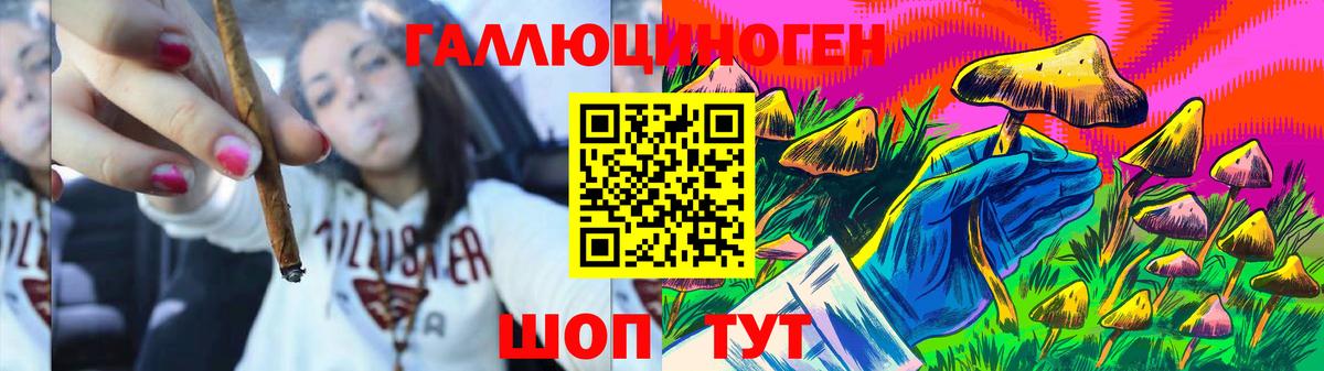 Галлюциногенные грибы ЛСД Губкин